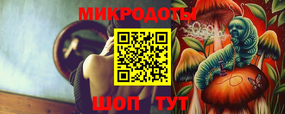 Галлюциногенные грибы Psilocybe  Донской 